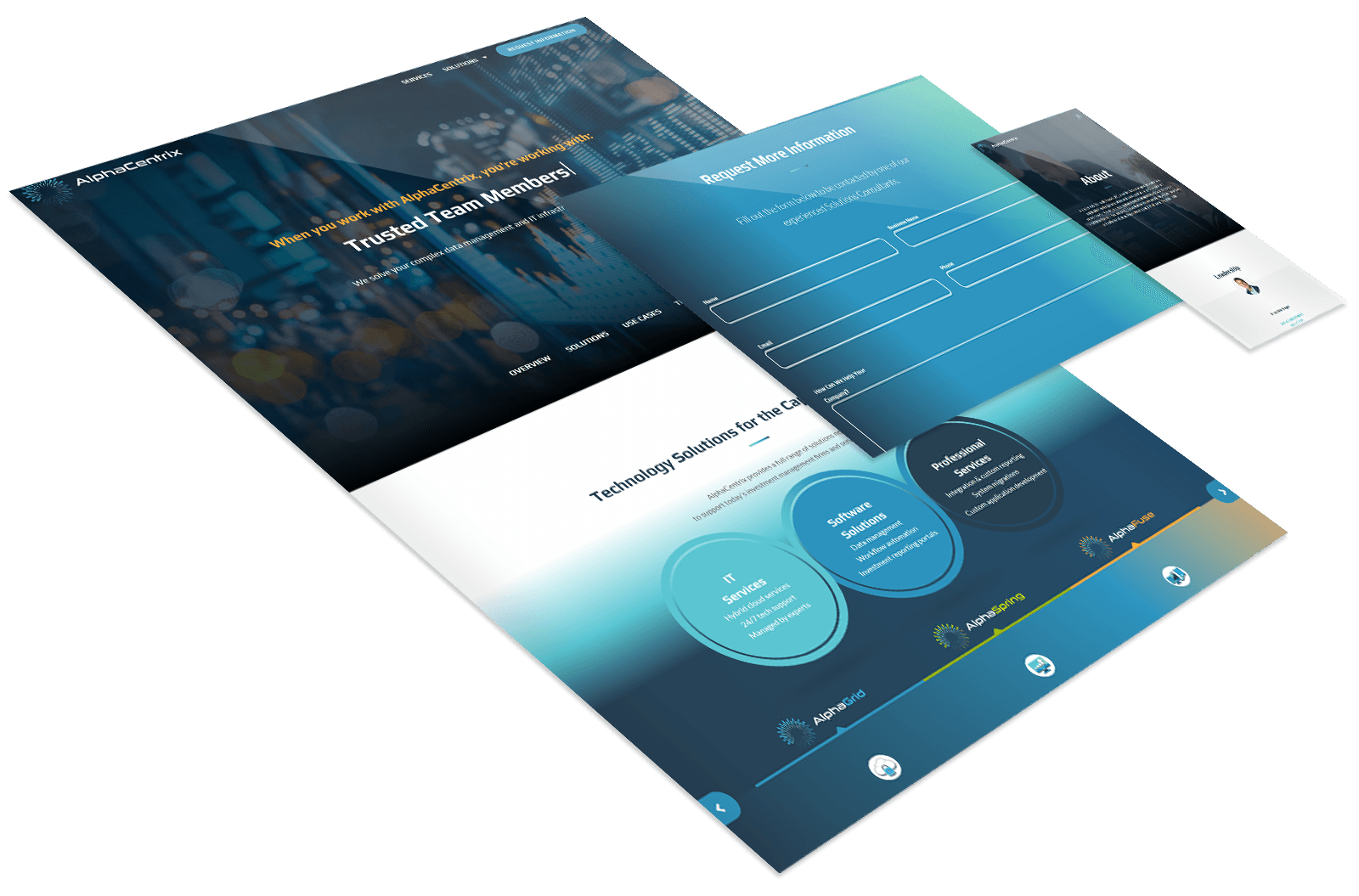 Three angled web page mockups with blue and teal gradients, showing a homepage, an information request form, and a business profile page.