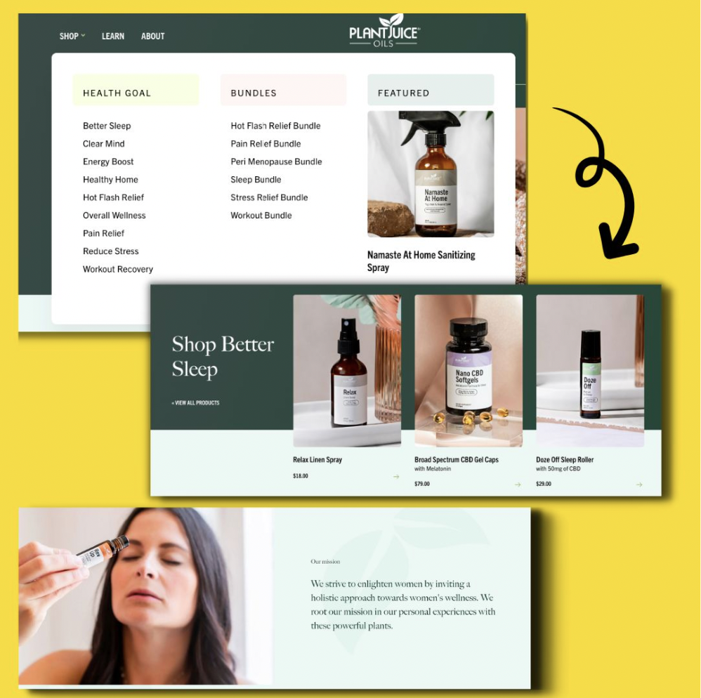 website user journey