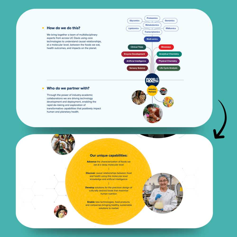 food and health website redesign