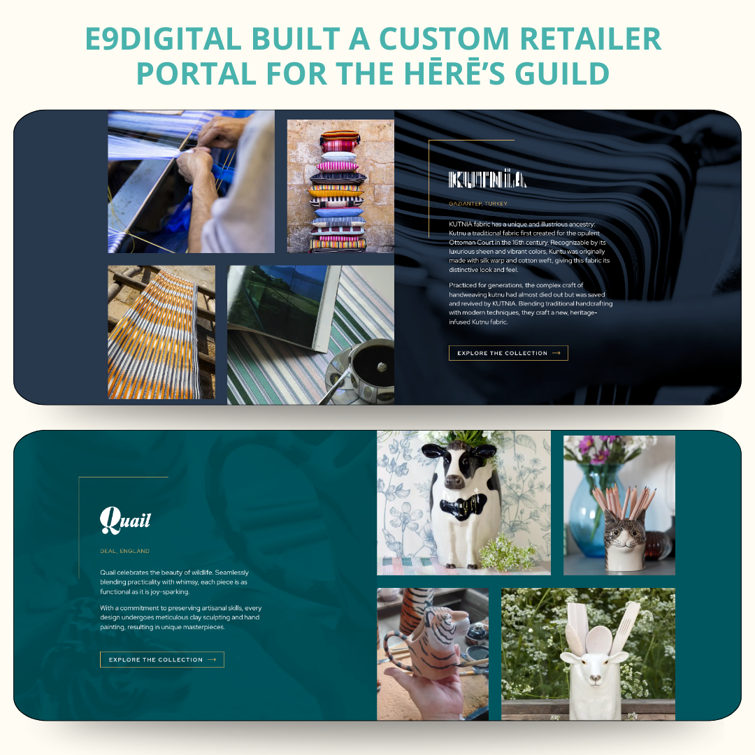 brand ambassador website