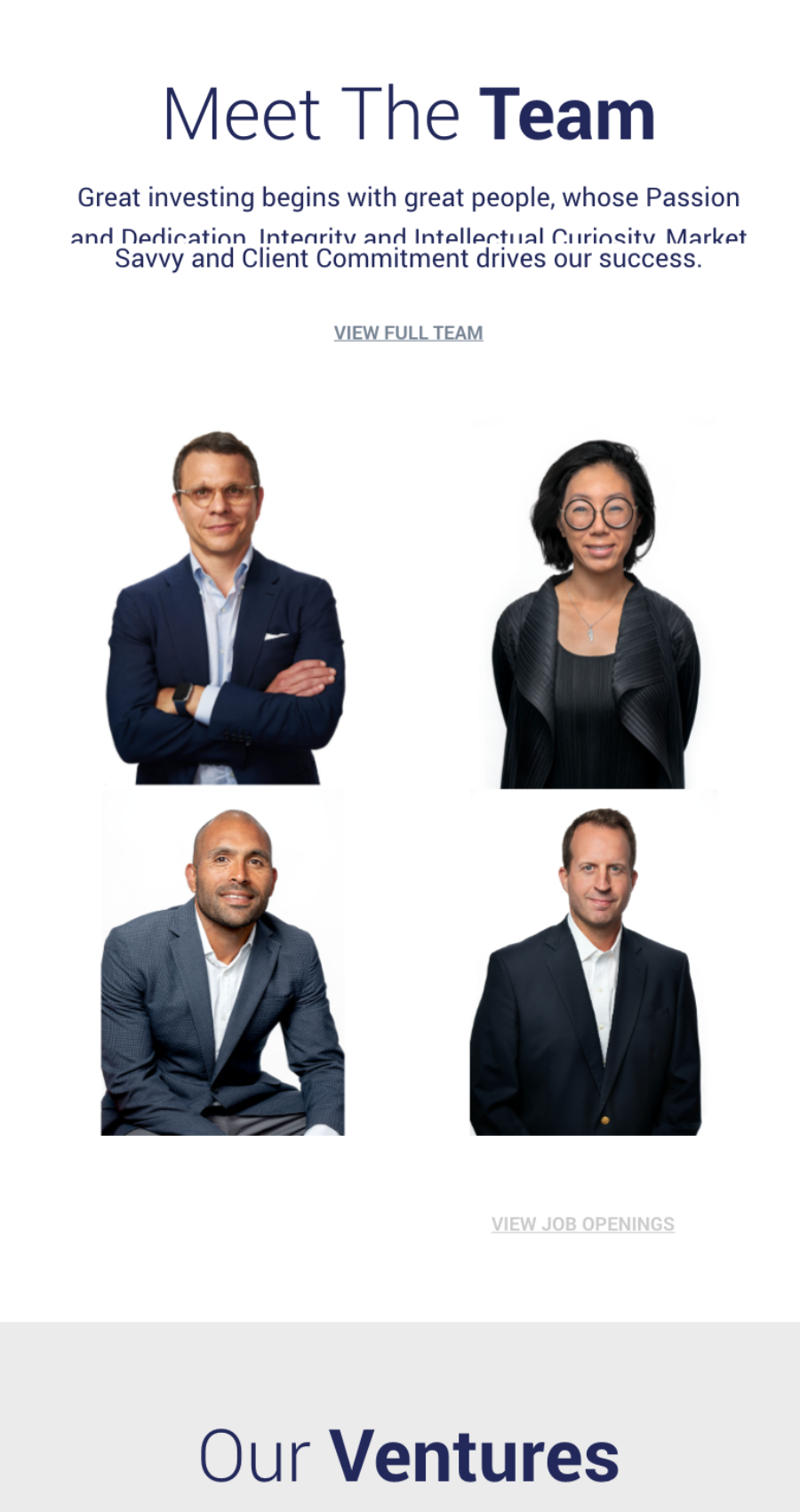 Meet the Team section featuring executive portraits and links to full team and job openings.